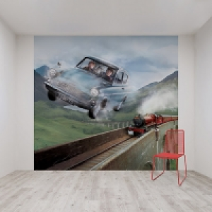 Journey to Hogwarts Wall Mural 3m x 2.8m £52.00