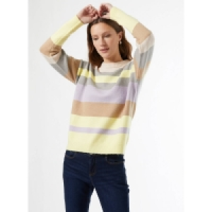 Dorothy Perkins Multi Coloured Stripe Print Jumper
