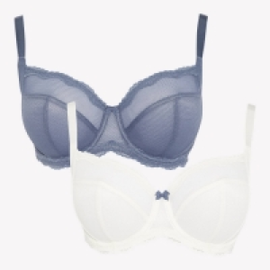 Gorgeous Dd+ 2 Pack Blue and White Tabitha Mesh Underwired Non-Padded D