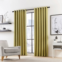 Debenhams Dkny Green Polyester Madison Lined Curtains