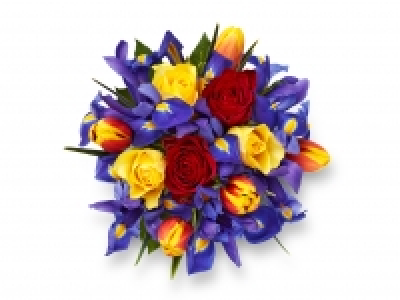 Rose, Tulip & Iris Trio £4.99