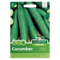 QDStores  Country Value Cucumber Telegraph Improved Seeds