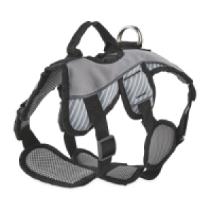 Grey Adventure Dog Harness