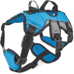 Blue Adventure Dog Harness