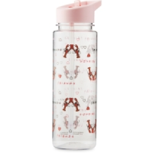 Friends Lobster Water Bottle