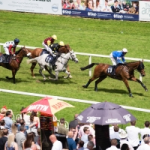 Buyagift 2 for 1 Winning Raceday Package Gift Experience Day - Over 1