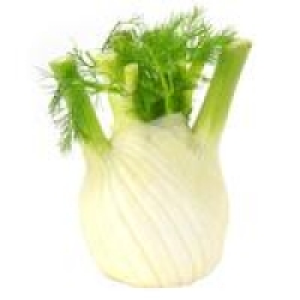 Ocado  Natoora Italian Fennel