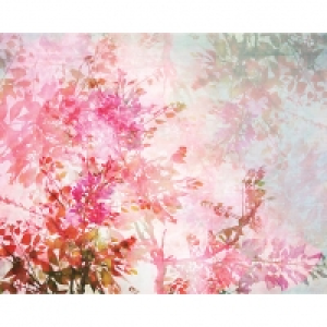 ohpopsi Pink Blossom Wall Mural - XL 3.5m (W) x 2.8m (H)