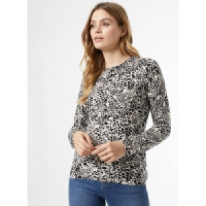 Debenhams Dorothy Perkins Multicoloured Leopard Print Crew Neck Jumper