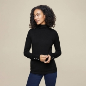 Debenhams Dorothy Perkins Tall Roll Neck Top