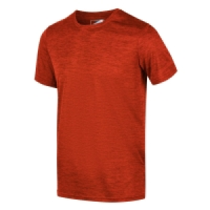 Debenhams Regatta Red Fingal Lightweight Quick Dry Wicking T-Shirts