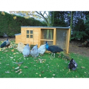 Shire Timber Pent Chicken Coop & Run Honey Brown - 7 x 3 ft &pound;405.00