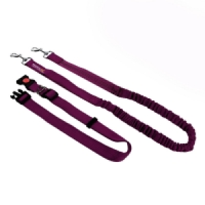 Regatta Pink Hands Free Jogging Dog Lead