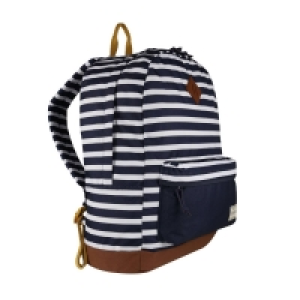 Regatta Blue Stamford 20L Backpack