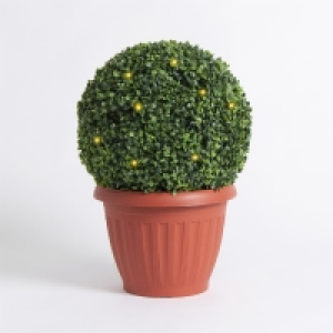 HomeBargains  Artificial Topiary Bush Solar Light