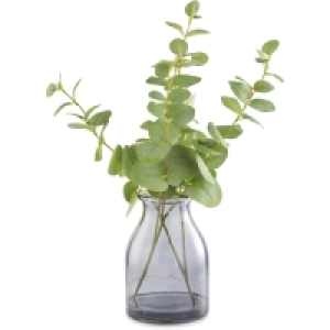 Faux Eucalyptus In Smoky Glass Vase