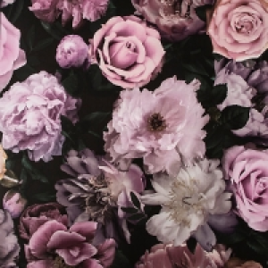 Fresco Pandora Drama Pink Wallpaper 10m £11.00