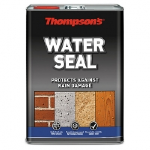Thompsons Water Seal 5 Litres £18.00
