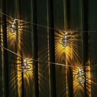 HomeBargains  Firefly: 10 LED Solar Bee String Lights