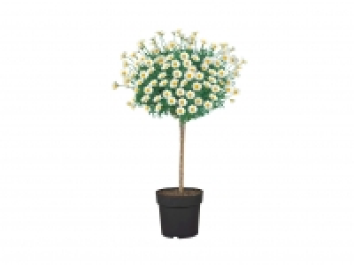 Marguerite £7.99