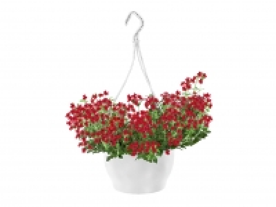 Hanging Basket £5.00