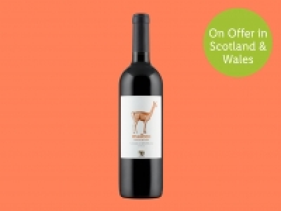 Chilean Malbec Reserva Privada £4.99