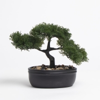 HomeBargains  Ports of Call by Jeff Banks: Faux Bonsai Tree in Black Pot