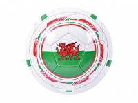 Lidl  Hy-Pro Wales Football