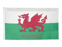 Lidl  Hy-Pro Wales Flag