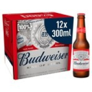 Budweiser Lager Beer Bottles £10.00