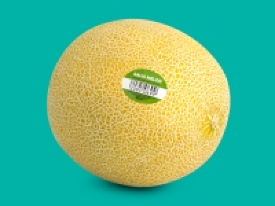 Galia Melon