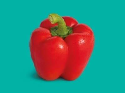 Red Pepper £0.35