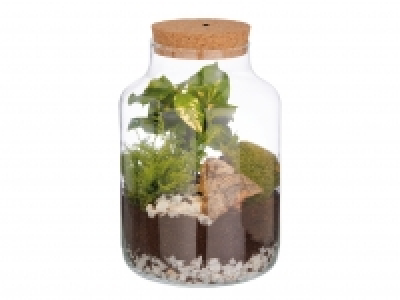 Lidl  Closed Terrarium with Light