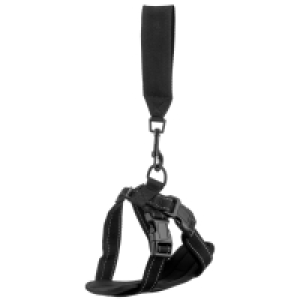 Dog Harness with Seat Belt Attachment