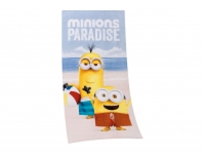 Kids Character Towel Poncho or Beach Towel