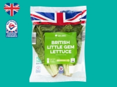 Oaklands Little Gem Lettuce