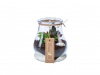 Mini Garden Terrarium £5.00