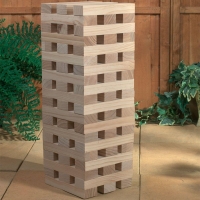 RobertDyas  Giant Garden Tower Block Set
