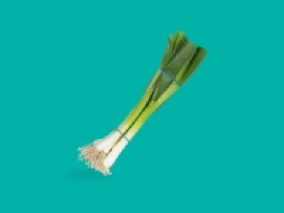 Spring Onions £0.29