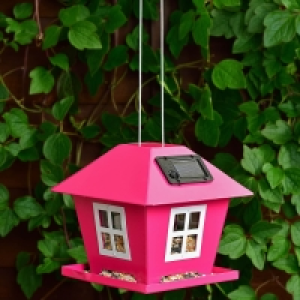 Solar Bird Feeder - Pink