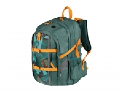 Lidl  Top Move School Backpack