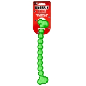 BMStores  Knobbly Bone Dog Toy - Green