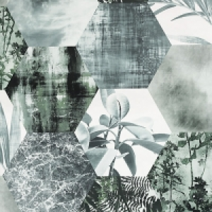 Arthouse Foliage Geometric Hex Green Wallpaper 10.05m x 53cm £14.00