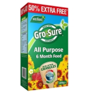 QDStores  All Purpose 6 Month Feed Plant Food 1.1kg 50% Free