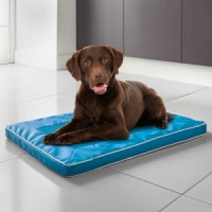 Air Flow Dog Mat - Blue £6.00