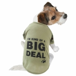 Dog Outfit - Small-Medium - Camo £2.00