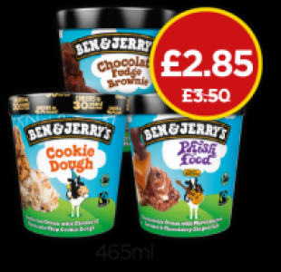 Budgens  Ben & Jerrys Chocolate Fudge Brownie, Cookie Dough, Phish Fo