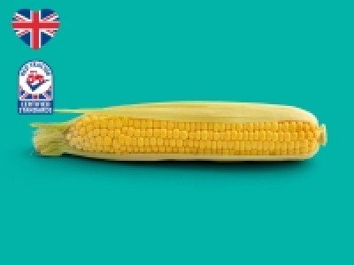 British Corn on the Cob £0.25
