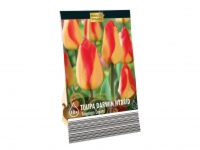 Premium Bulbs £1.79