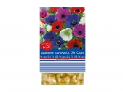 Spring Flowering Bulbs £1.29